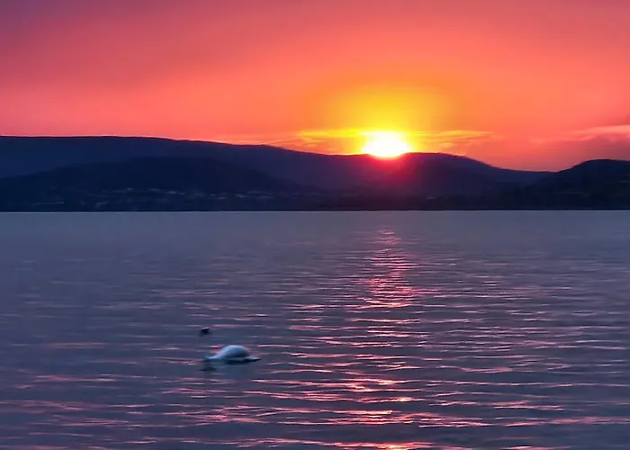 Dom wakacyjny 4seasons